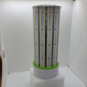 LED Light Bulb with Green Base